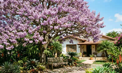 A árvore chinesa que cresce mais rápido que o bambu, dá sombra e está conquistando jardins no Brasil