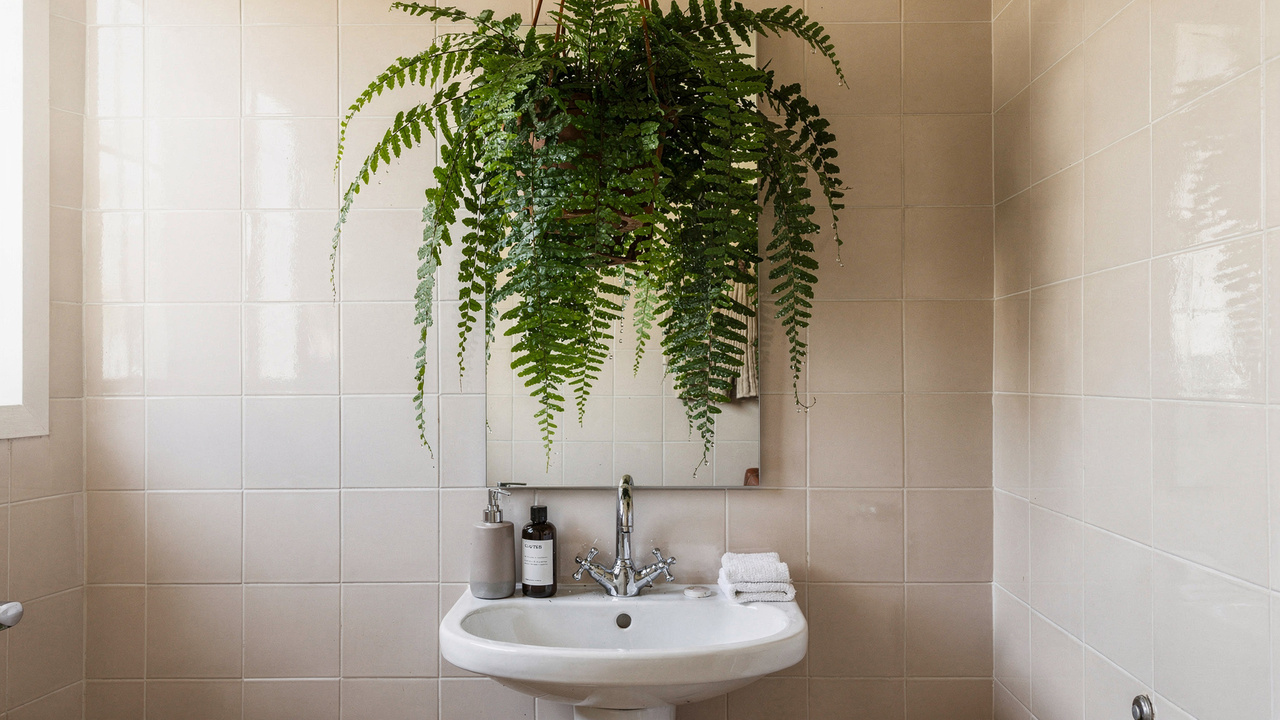 5 plantas para decorar o banheiro que se adaptam bem à umidade e ainda trazem benefícios para o ambiente