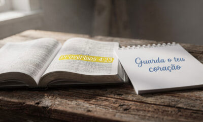 Frase do dia para quando confiar parece mais difícil que insistir