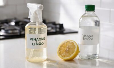 Misturar limão e vinagre: por que é recomendado e para que serve