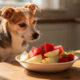 Essas 5 frutas podem ser oferecidas para cães sem risco e ajudam a refrescar nos dias de calor