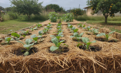 Ela decidiu parar de cavar a terra e algo inesperado aconteceu com o jardim