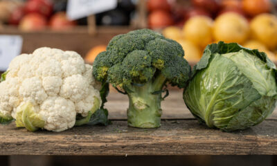 Muitos não sabem, mas couve-flor, brócolos e repolho vêm da mesma planta
