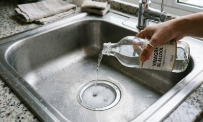 Despejar vinagre no ralo antes de dormir: para que serve e por que encanadores recomendam