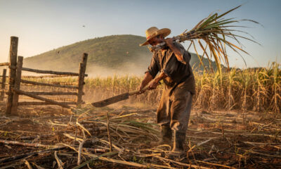 Esse homem mantém viva uma tradição antiga em sua fazenda raiz