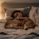 Dormir com um cão de estimação desencadeia processos inesperados e o impacto vai além do calor na cama