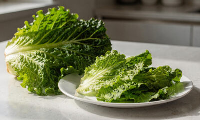 Por que comer escarola com frequência pode melhorar sua saúde no dia a dia