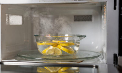 Truque importante de limpeza a vapor de micro-ondas que elimina odores ruins de vez