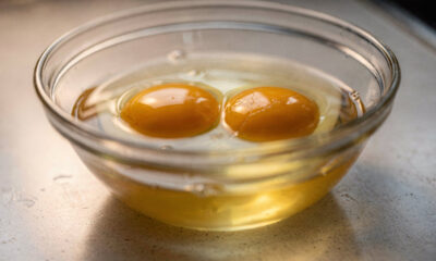 Gema dupla na panela: sinal de sucesso ou motivo para preocupação