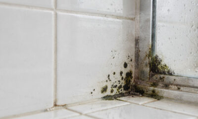 Tudo o que você precisa saber sobre como vencer o mofo no banheiro para sempre