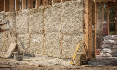 O material feito de planta que desafia o concreto e enfrenta barreiras nas obras