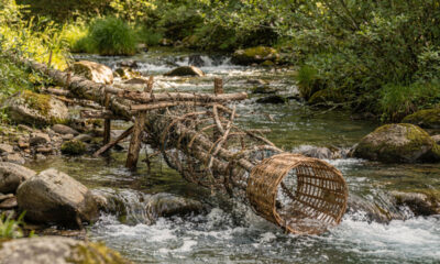 Homem transforma rios em armadilhas de pesca impressionantes usando apenas observação e engenho