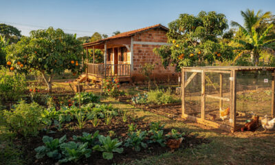 Como um sítio pequeno consegue produzir comida o ano inteiro