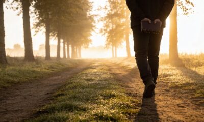 Você não precisa ser perfeito, só precisa continuar tentando