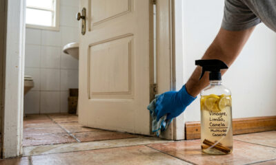 Vinagre, canela e limão: misture tudo, aplique na porta do banheiro e veja a mágica acontecer