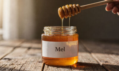 Como escolher mel de qualidade sem cair em testes caseiros que podem enganar