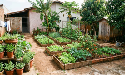 Eles vivem há 30 anos produzindo quase toda a comida no quintal