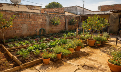 Essa família decidiu plantar tudo o que consome e quase não vai mais ao mercado