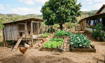 Há 60 anos quase toda família do interior fazia isso no quintal e hoje muita gente sente saudade