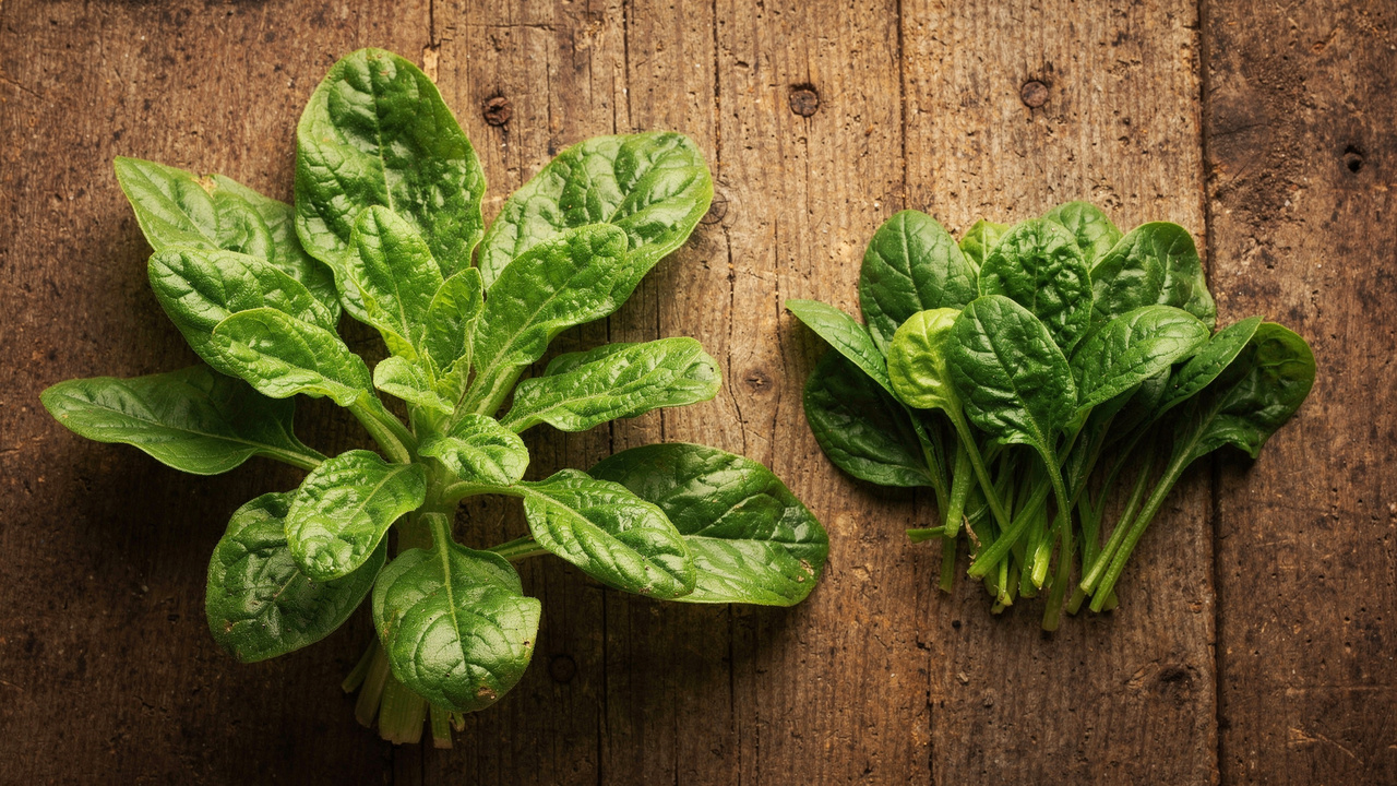 A planta rica em proteína que ficou conhecida como carne vegetal e está chamando atenção na alimentação natural
