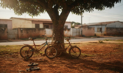 Coisas normais da infância que hoje assustam e mostram como subir em árvore era tão comum