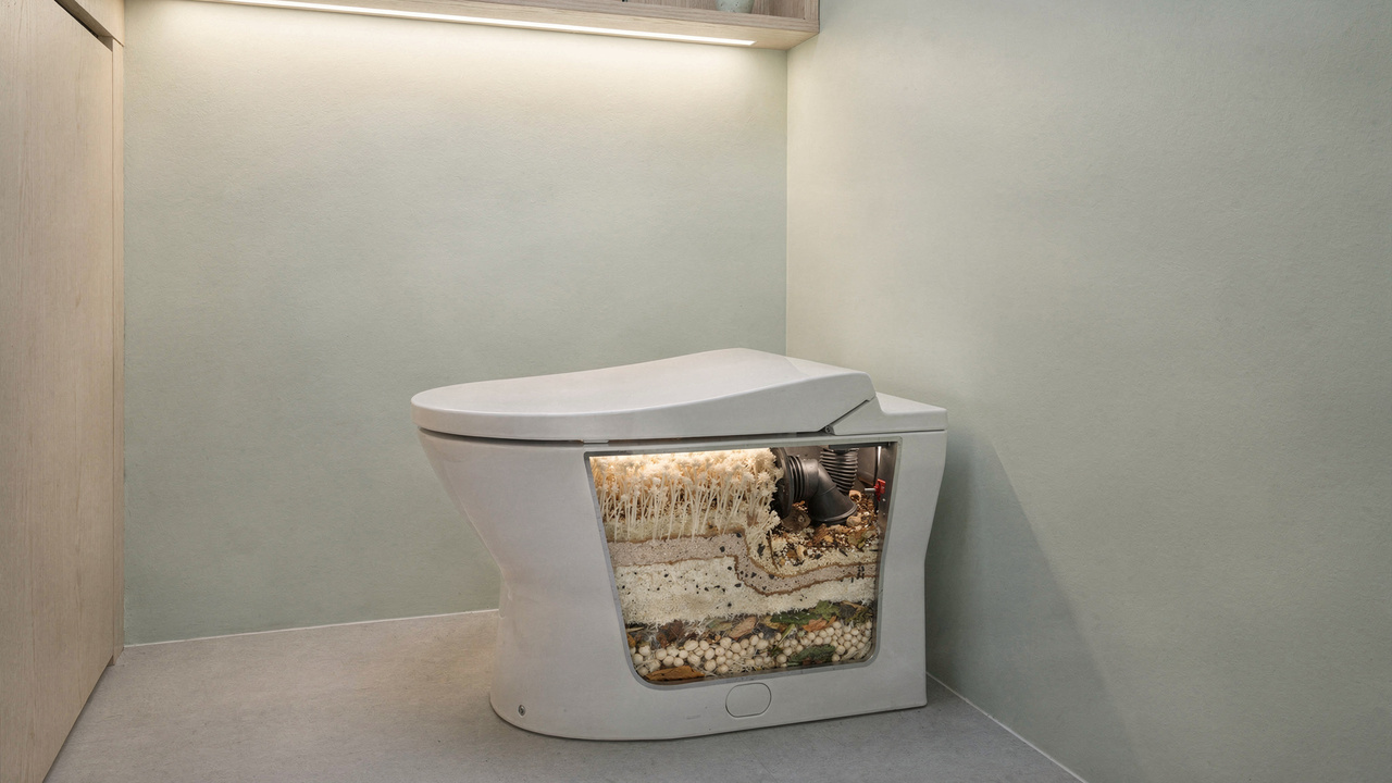A inovação canadense que vai substituir o vaso sanitário tradicional e virar tendência na sua casa