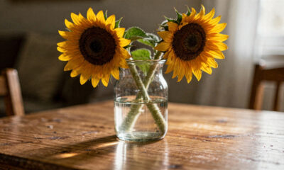 Como usar girassol na decoração para deixar a casa mais alegre, iluminada e cheia de vida