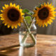 Como usar girassol na decoração para deixar a casa mais alegre, iluminada e cheia de vida