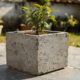 Transforme cimento em vasos incríveis para o seu jardim