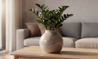 Essa planta resistente está se tornando favorita de quem mora em apartamento e quase não exige cuidados