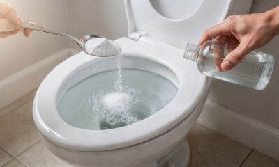 Jogar bicarbonato de sódio e álcool no vaso sanitário antes de dormir: para que serve e quando é melhor fazer isso