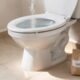 Colocar sal no vaso sanitário à noite: para que serve e por que tanta gente recomenda