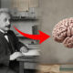 O segredo do cérebro de Einstein foi revelado pela ciência
