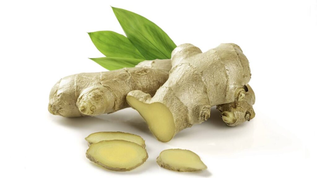 A raiz barata com muitos benefícios que quase ninguém valoriza e pode transformar sua saúde