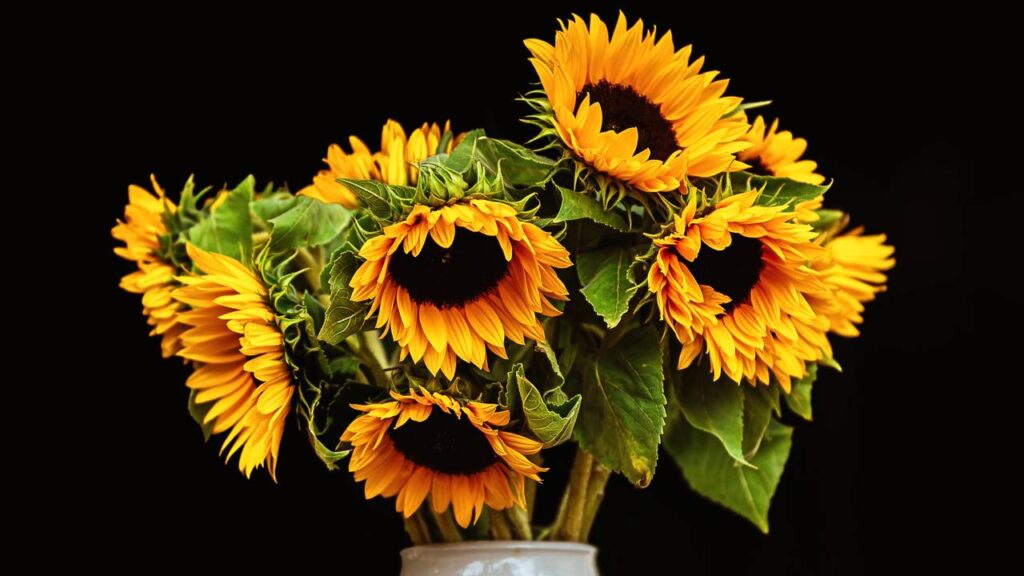 Como usar girassol na decoração para deixar a casa mais alegre, iluminada e cheia de vida