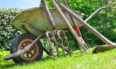 Dicas geniais para o jardim que podem facilitar o cuidado com as plantas no dia a dia