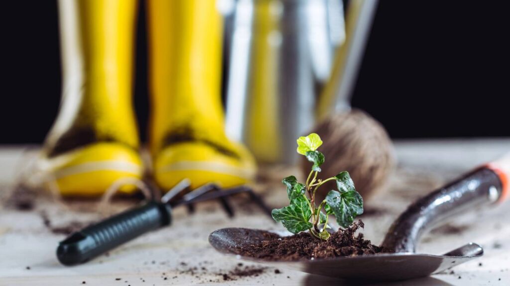 Dicas geniais para o jardim que podem facilitar o cuidado com as plantas no dia a dia