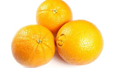 Como cultivar laranja Bahia no vaso e ter uma árvore frutífera crescendo em casa