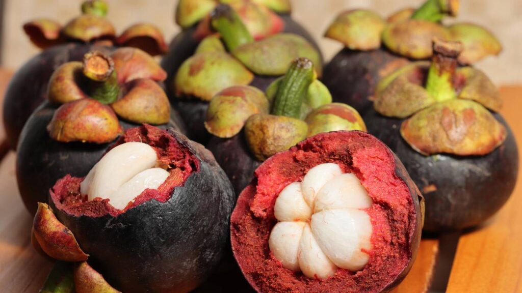 Como plantar mangostão da semente de forma simples e começar o cultivo dessa fruta exótica em casa