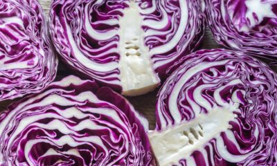 Benefícios do repolho roxo para saúde e por que ele merece mais espaço no seu prato