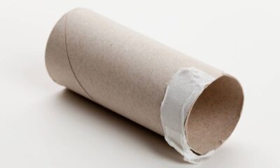 5 ideias de artesanato com rolo de papel higiênico que podem transformar algo simples em objetos criativos