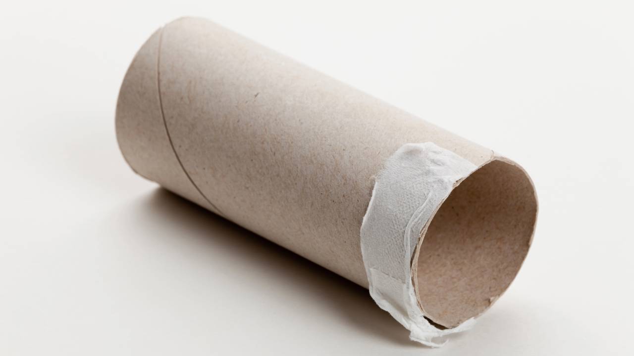 5 ideias de artesanato com rolo de papel higiênico que podem transformar algo simples em objetos criativos