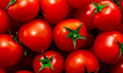 O que acontece se comer tomate todos os dias e por que esse alimento é tão recomendado