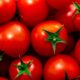 O que acontece se comer tomate todos os dias e por que esse alimento é tão recomendado