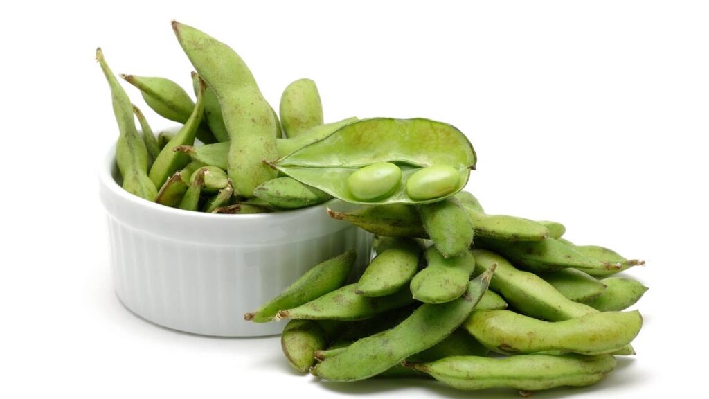 Os benefícios da vagem para emagrecer e melhorar a saúde de forma natural