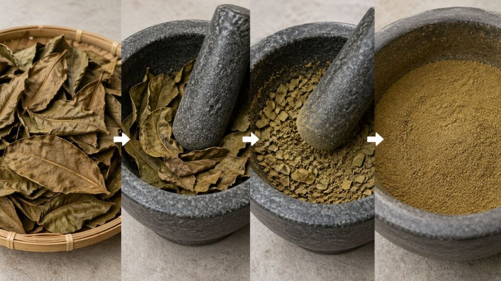 Folha do caju para tendinite é usada como alternativa natural no tratamento