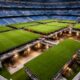 Como é a preservação do campo de Bernabéu e o que mantém o gramado sempre perfeito