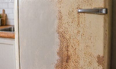 Como acabar com ferrugem na geladeira ou eletrodoméstico e economizar dinheiro sem precisar trocar o aparelho