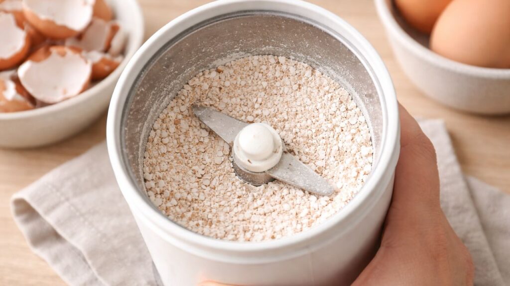 Como usar casca de ovo nas plantas do jeito certo para fortalecer e melhorar o crescimento