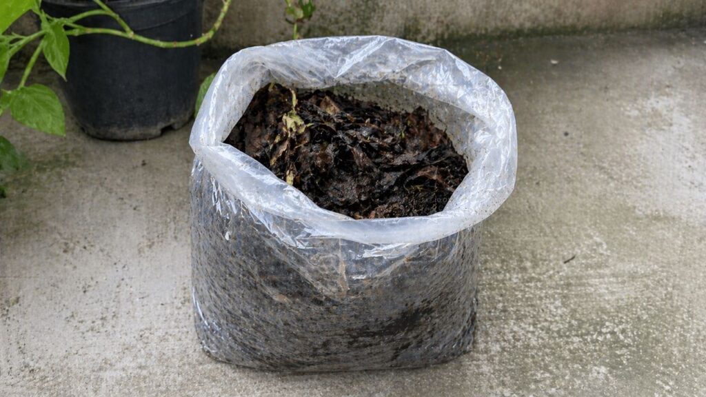 Como fazer substrato com folhas secas sem gastar nada e melhorar a qualidade do solo das suas plantas